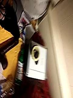 dailydose629207