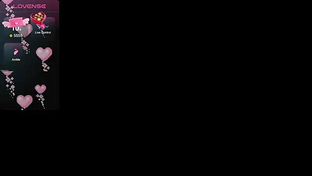 dasshiki