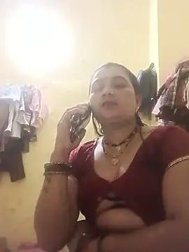 desimodel143