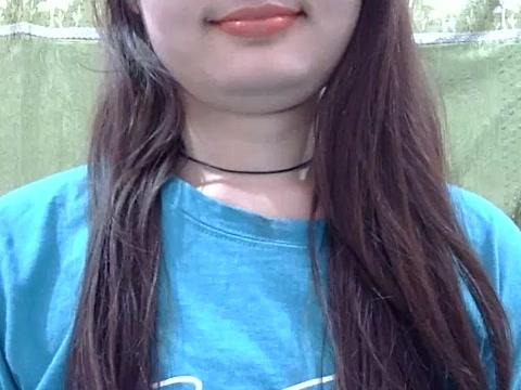 desiparii