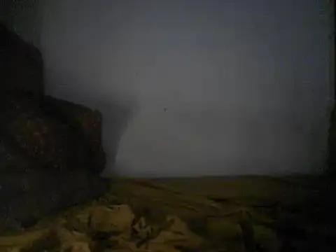 elitevip456