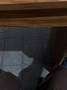 gato_bh