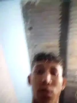 gatopolar73