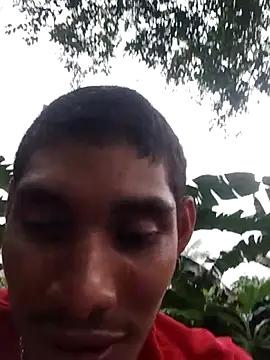 gingavi