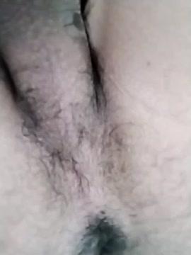 gocadavid