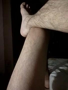 homo_erectus