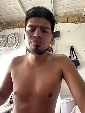 im_moiseis