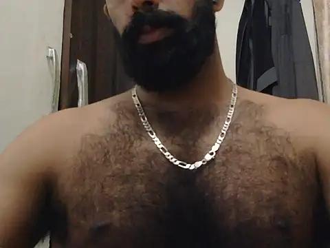 indianhairybull