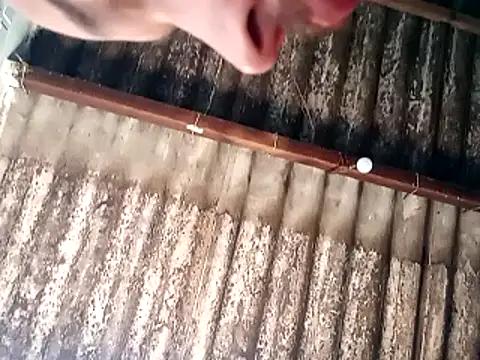 jhonwins01