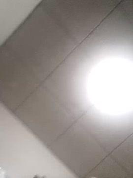 joselestar