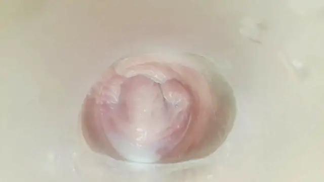 karol_stom