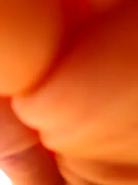 lapousse3