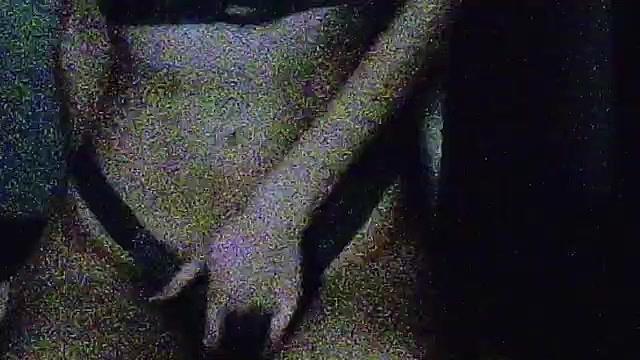 lioswampetfi1974