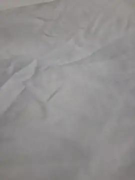 lisandra331