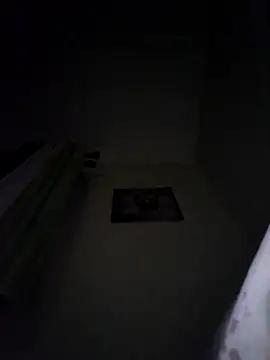 marcopereira9666