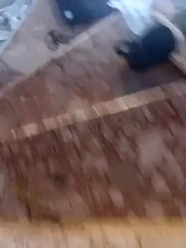 marriedtogirlbutgay