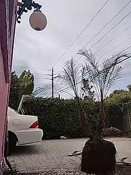 mikehawk88