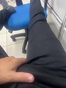 morenogatt