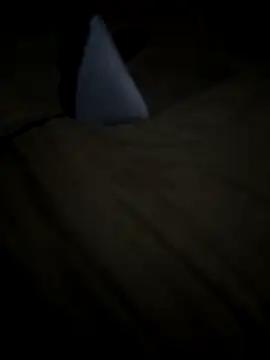 nicefreshdick