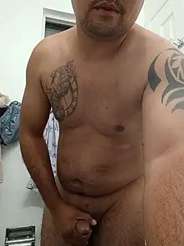 nuevo01