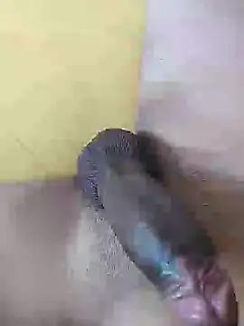 pallisinho