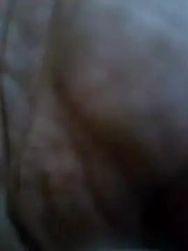 palominooo