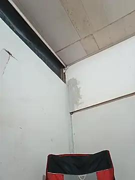 pandaMontana