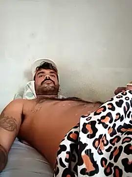peludinhohairy