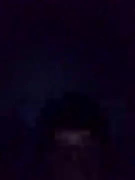 pereiral002