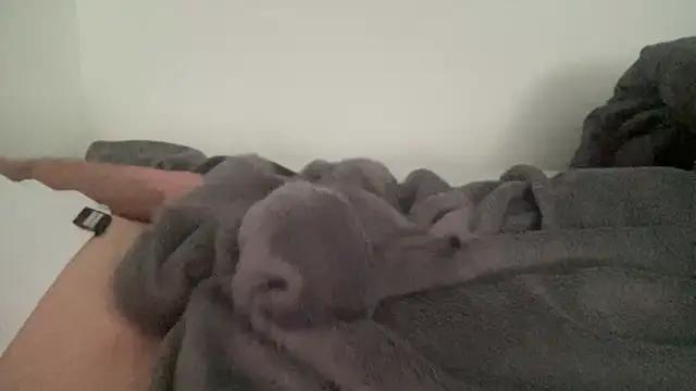 peterpapiNL