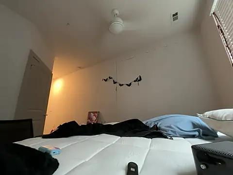 petitelatinateen