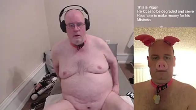 piggy__