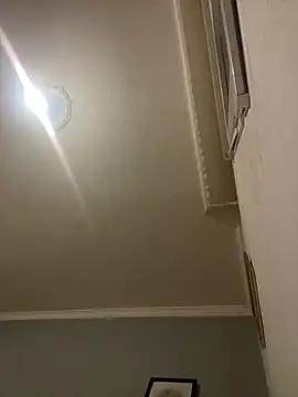 pollonlechero29