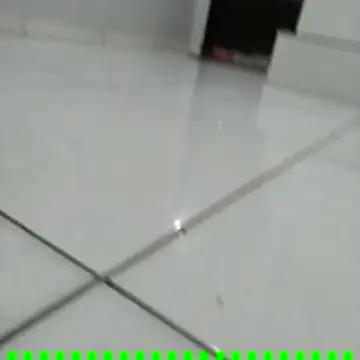 putinhaonzap23