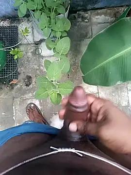 rajesshh31
