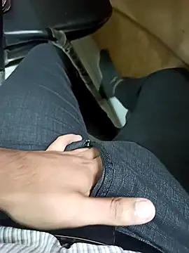 rentalboy29