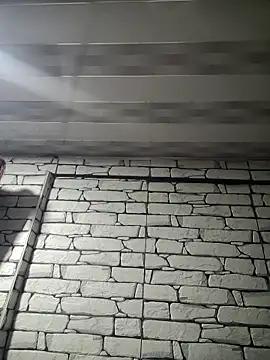 ronhaldsteel