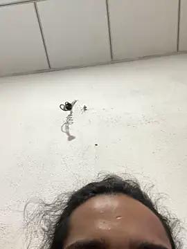 rosedick1