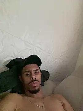 samambaia1