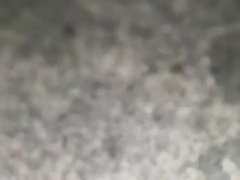 sc0rpy0
