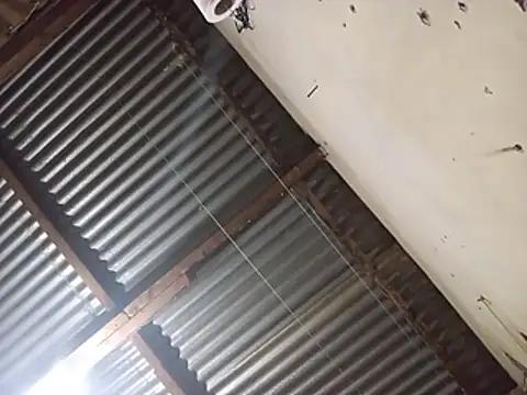 scovia123