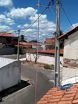 selestia666