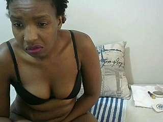sexypetx