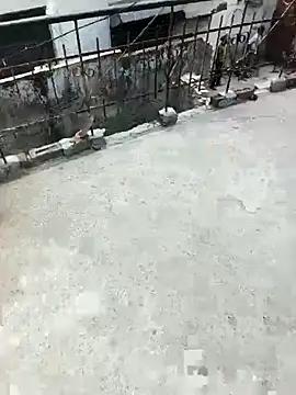 singalguy12