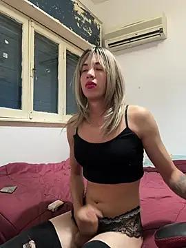 sofitrap19