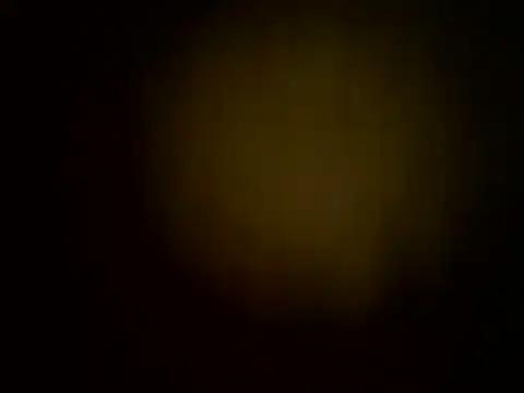 squart_liora