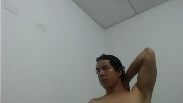 stallion1998_