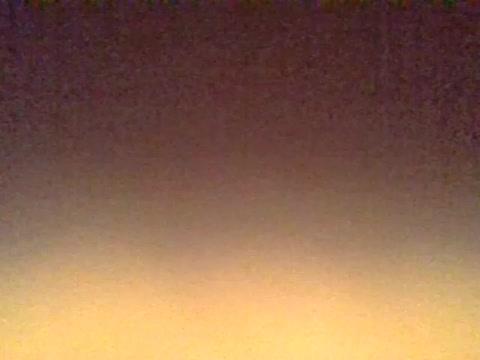 steisy_37