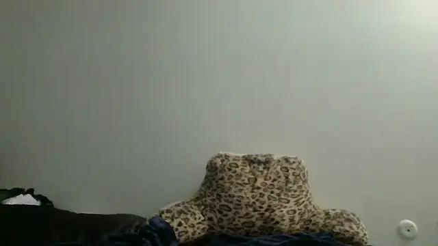 stonerstripper