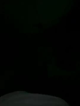 stoutebbc